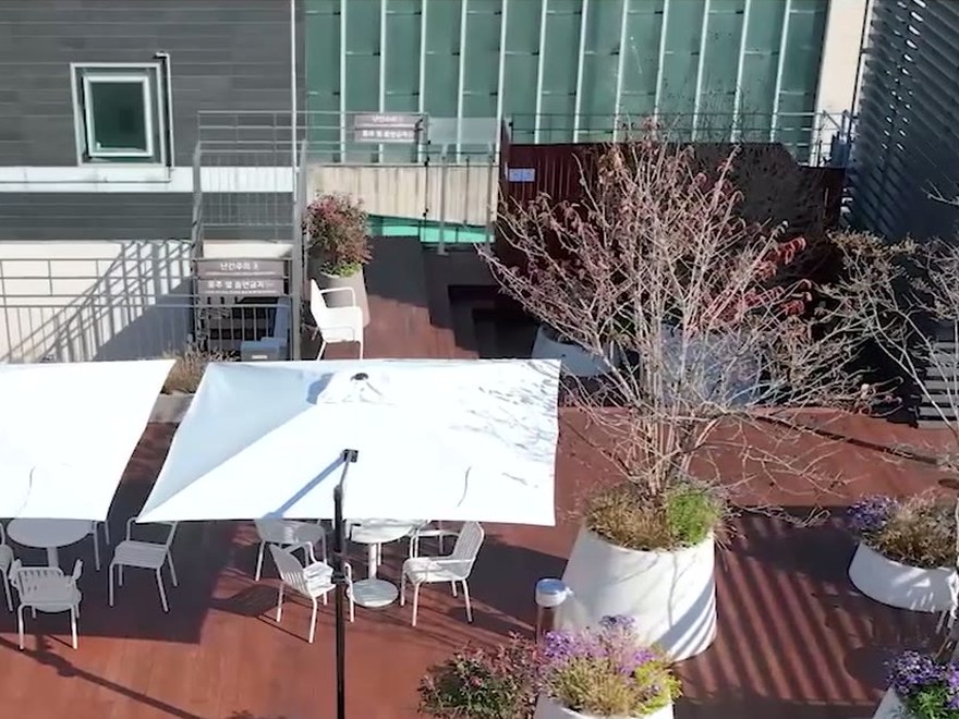 Roof garden